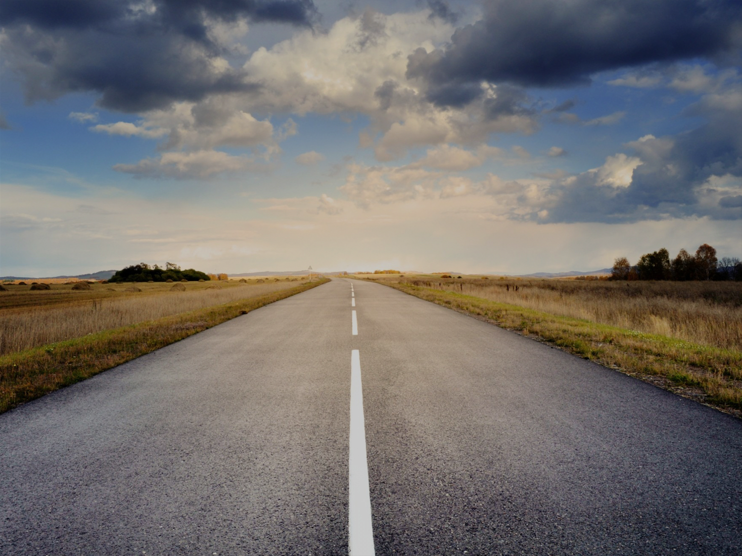 image1 image1